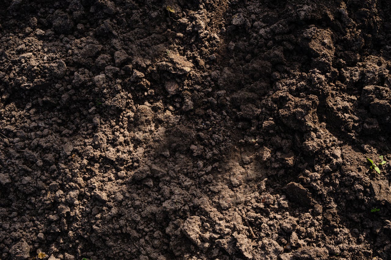 gallery-05 Detailed view of freshly tilled soil, perfect for planting in agriculture and gardening.