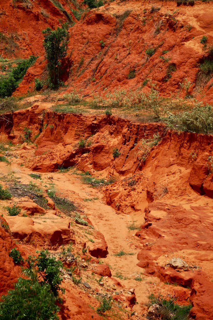 services-02 Dynamic view of red soil erosion in a rugged, arid terrain with scattered vegetation.