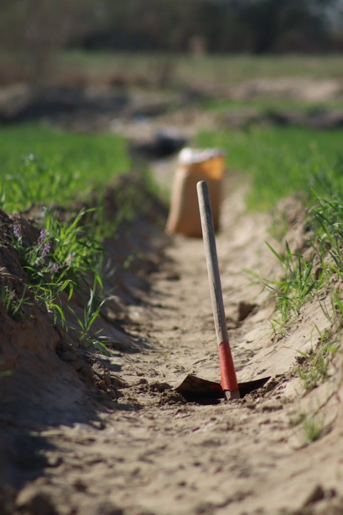 pexels photo 32938383 Shovel stuck in sandy trench with green grass surrounding, under clear skies.