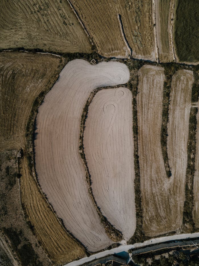 gallery-01 Aerial photograph showcasing geometric patterns in freshly plowed fields near Marsaxlokk, Malta.